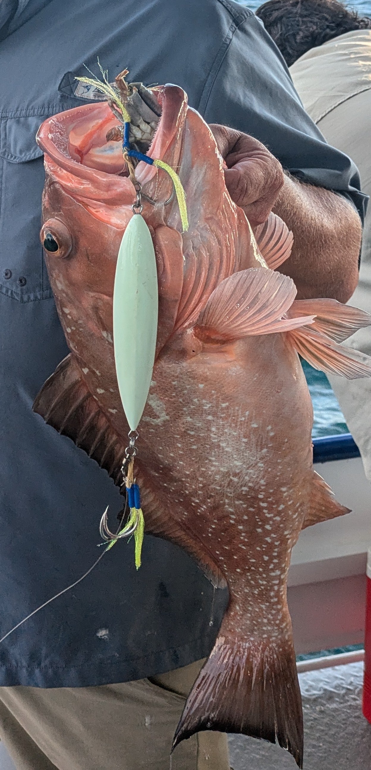 TJC200 The Goblin: Green Stripe Orange and Silver Flash with Glow